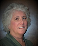 Susan Palchick Hennepin County Public Health Director